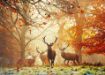 Imagen de Rompecabezas Magic Forests Stags 1000 Piezas