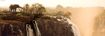 Imagen de Rompecabezas Avh Elephant Panoramico 1000 Piezas