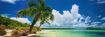 Imagen de Rompecabezas Avh Paradise Palms Panoramico 2000 Piezas