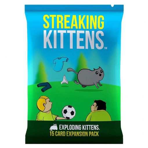Imagen de Streaking Kittens