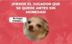 Imagen de Bobo Bobo