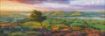 Imagen de Rompecabezas Avh Purple Bloom Panoramico 1000 Piezas