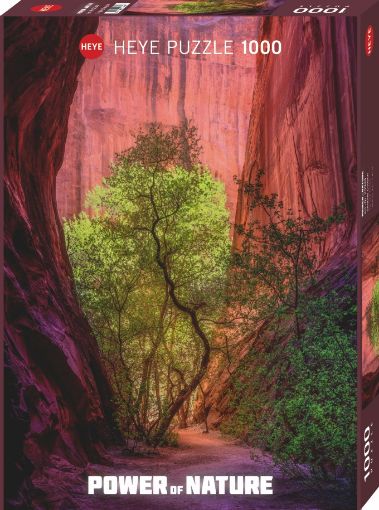 Imagen de Rompecabezas Power Of Nature Singing Canyon 1000 Piezas