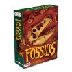 Imagen de Fossilis