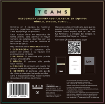 Imagen de Teams By Exin Fiesta