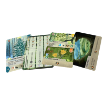Imagen de Forest Shuffle: Exploracion