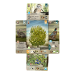 Imagen de Forest Shuffle: Dartmoor