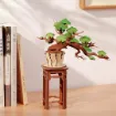 Imagen de Armable Evergreen Pine Bonsai - Tg510