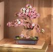 Imagen de Armable Sakura Bonsai Rolife - Tg415